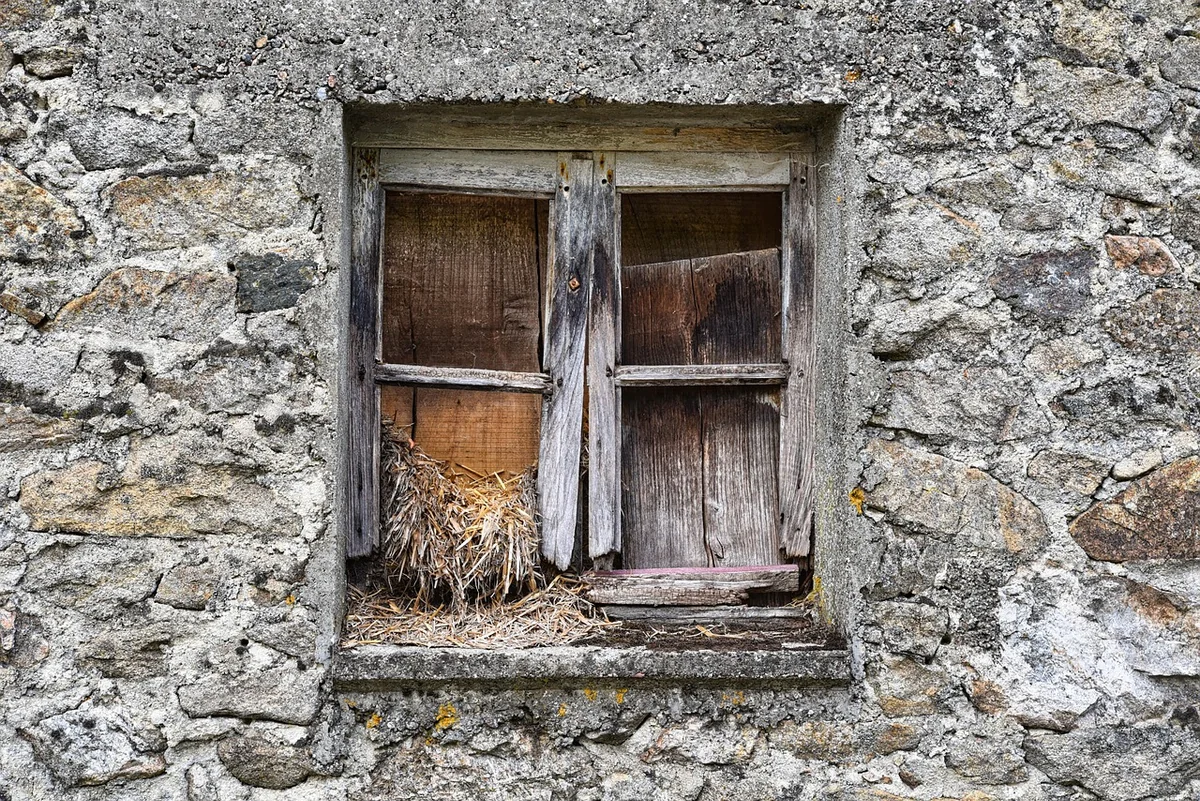 Réglages de châssis : ne touchez pas à tout